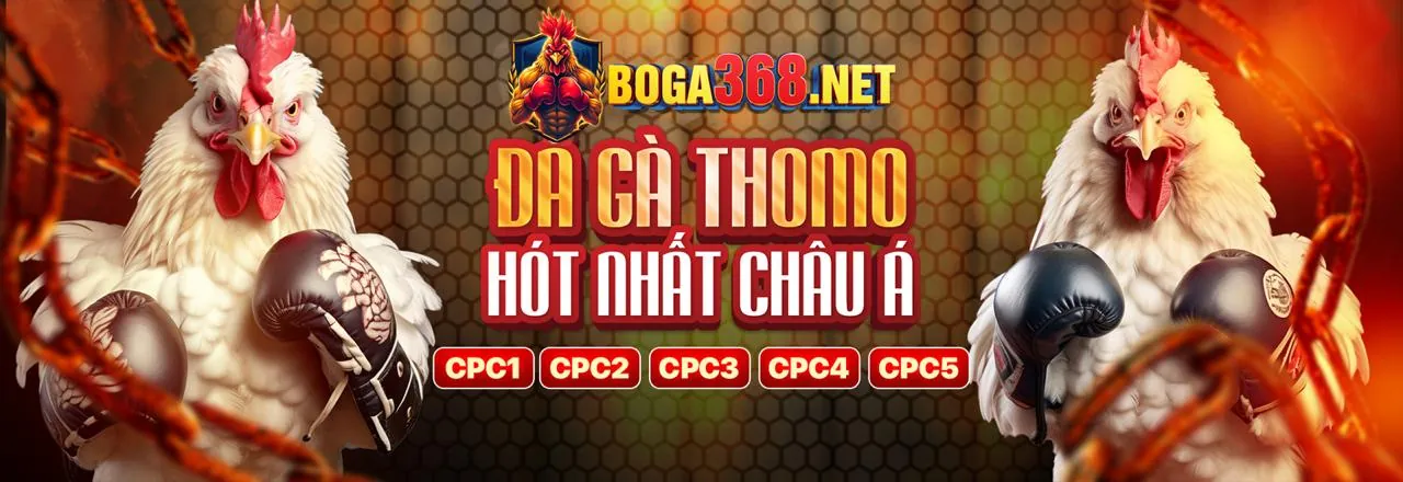 Chương trình VIP lc 88 độc quyền